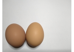 a couple ofのイラスト